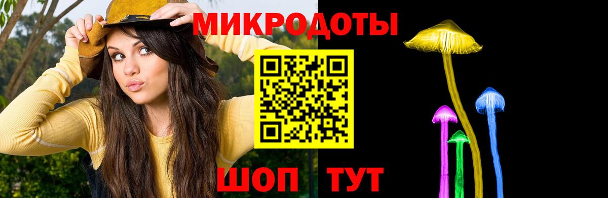 Псилоцибиновые грибы Psilocybe Нурлат